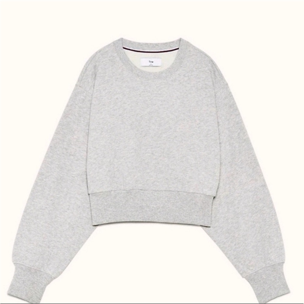 TNA PERKINS RELAXED CROPPED GRAY SWEATSHIRT XXS